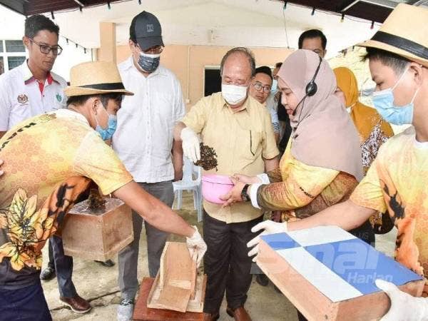 Henry (tiga dari kanan) memindahkan kelulut ke sarang baharu ketika meninjau Program AET Ternakan Lebah Kelulut di Kampung Lubuk Darat, semalam.