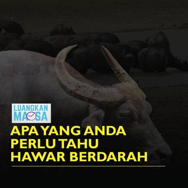 cover-luangkan-kerbau