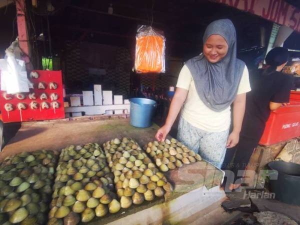 Norsidah menunjukkan lokan yang dijual di gerainya sering menjadi tumpuan pelancong sekiranya singgah di Kampung Salut, Kota Kinabalu.