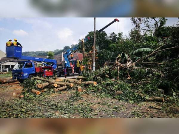 MPS sedang melaksanakan kerja-kerja pembersihan dengan mengalihkan pokok tumbang di kawasan tersebut sejak 5 petang semalam.