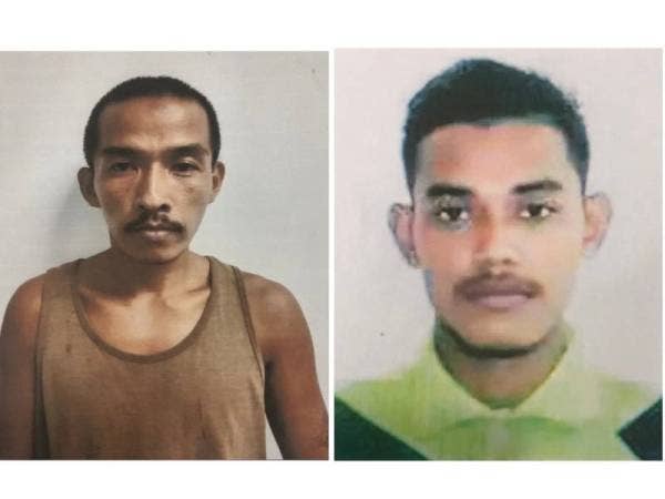 Muhamad Tarmizi Muhamad, Muhamad Hafiz Sulaiman