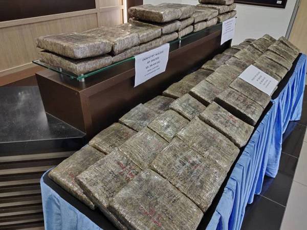 Polis merampas ganja bernilai RM154,250 dalam serbuan berasingan di sekitar ibu kota, baru-baru ini.