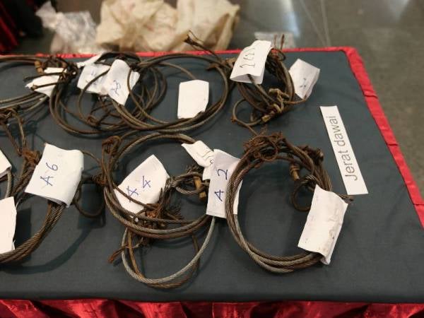 Jerat dawai milik pemburu haram yang dirampas Perhilitan.