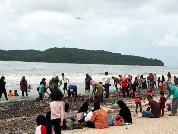 Kelihatan orang ramai sedang mengutip siput kabung yang terdampar di Pantai Chenang ketika tinjauan hari ini.