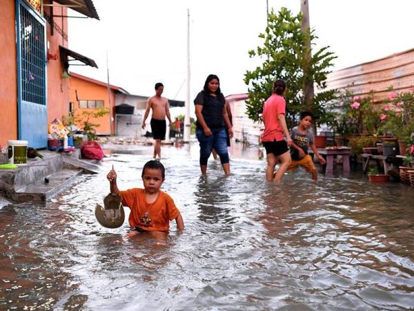 Seorang kanak-kanak memegang seekor belangkas di kawasan rumah yang dinaiki air berikutan fenomena air laut pasang besar di Perkampungan nelayan Bagan Hailam hari ini.