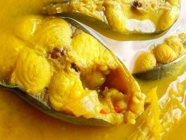 Patin tempoyak - Pahang