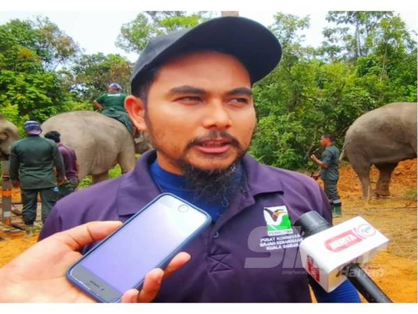 Ketua Pusat Operasi Konservasi Gajah Kebangsaan Kuala Gandah, Pahang, Mohd Khairul Adha Mat Amin