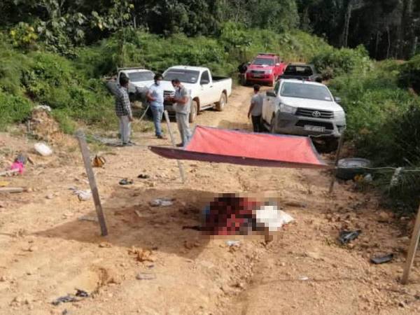Mangsa maut selepas tersepit dalam kemalangan membabitkan pacuan empat roda di kawasan hutan simpan Lumadan, Beaufort.