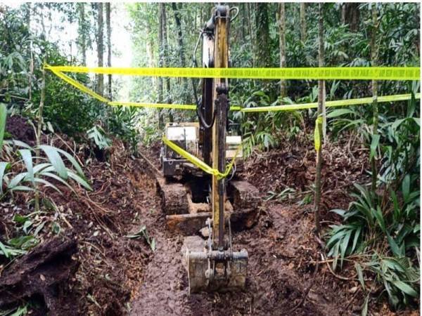 Jengkaut yang ditemui dalam zon sempadan Perak-Pahang. 
