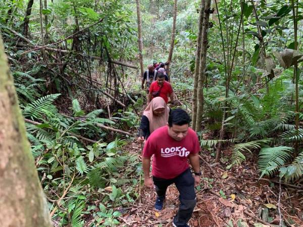 Pengamal media meredah hutan kira-kira 30 minit sebelum menemui bunga Raflesia yang sudah kembang. 
