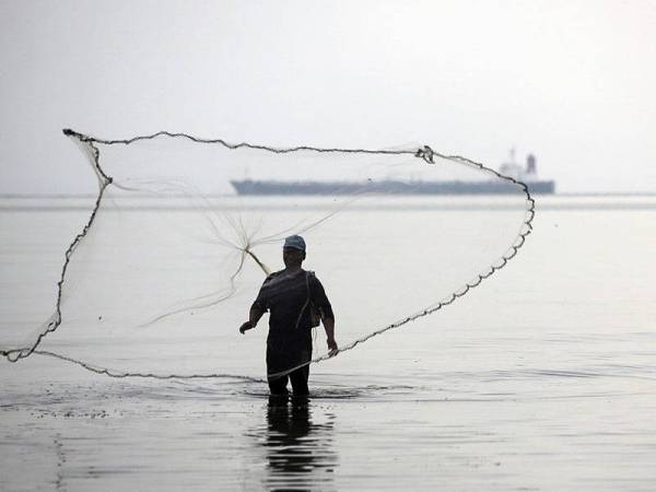 Seorang nelayan dilihat menjala ikan ketika tinjauan foto Bernama di persisiran Pantai Cermin, hari ini.