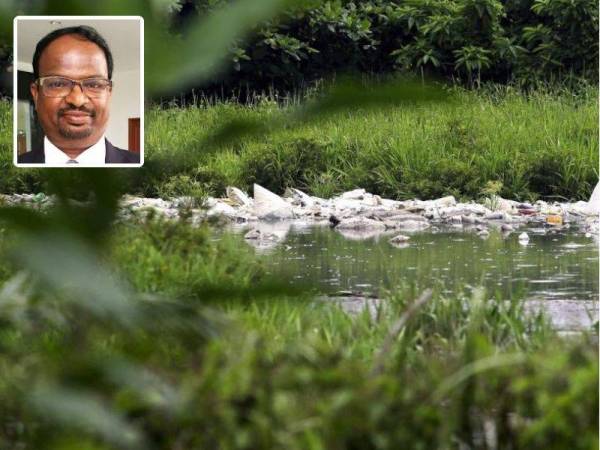 Analisis sampel yang diambil dari lokasi punca pencemaran Sungai Batang Benar, Nilai mendapati ia merupakan sebatian organik jenis ‘Dimethyl Disulfide'. Gambar kecil: S Veerapan