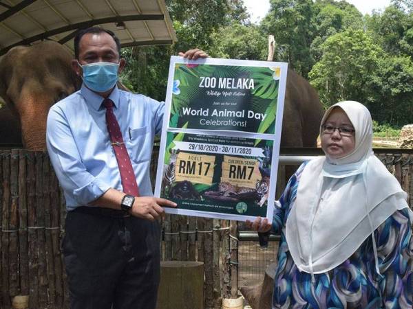 Bekalan makanan untuk haiwan di Zoo Melaka cukup