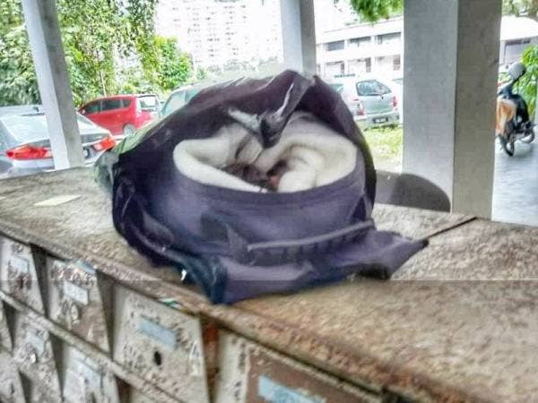 Beg galas yang diletakkan di atas peti surat di Blok 47, Tingkat Paya Terubong, Georgetown tengahari tadi.