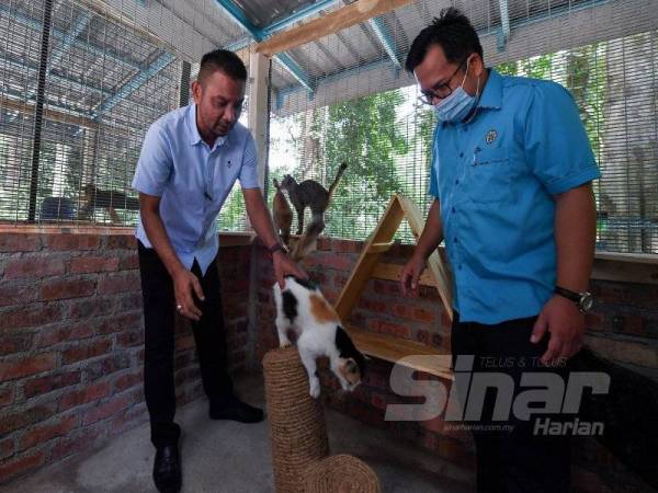 Lizan (kiri) bersama Setiausahanya, Mohd Nasir Kasim (kanan) melawat kucing jalanan yang dirawat di Taman Kucing Dungun.