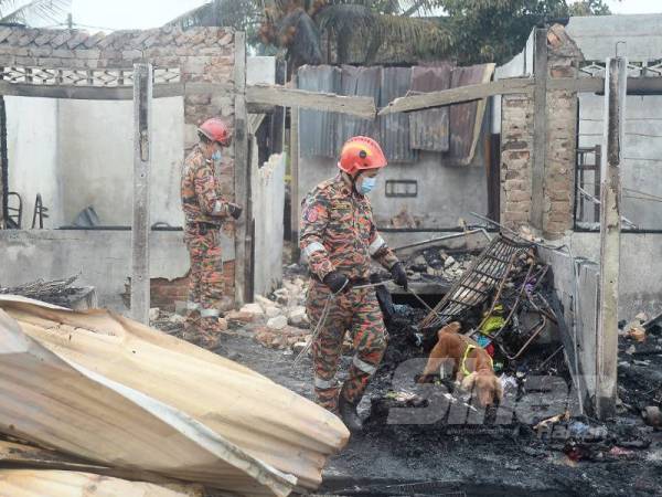 Unit Pengesan K9 Jabatan Bomba dan Penyelamat Malaysia sedang melakukan penyiasatan di lokasi kebakaran yang melibatkan beberapa unit buah rumah di Kampung Delek Kanan. Foto: ROSLI TALIB