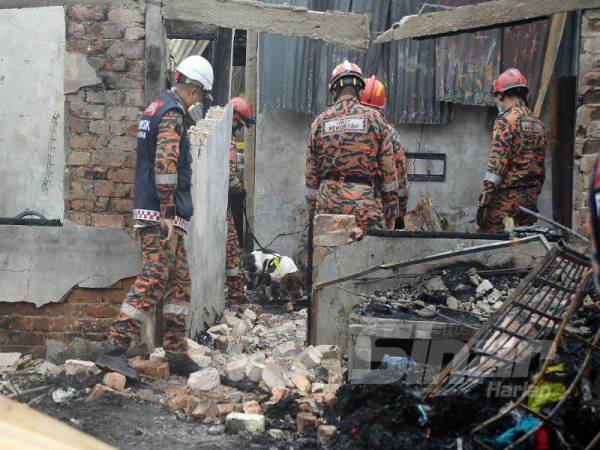 Unit Pengesan K9 Jabatan Bomba dan Penyelamat Malaysia sedang melakukan penyiasatan di lokasi kebakaran yang melibatkan beberapa unit buah rumah di Kampung Delek Kanan. Foto: ROSLI TALIB