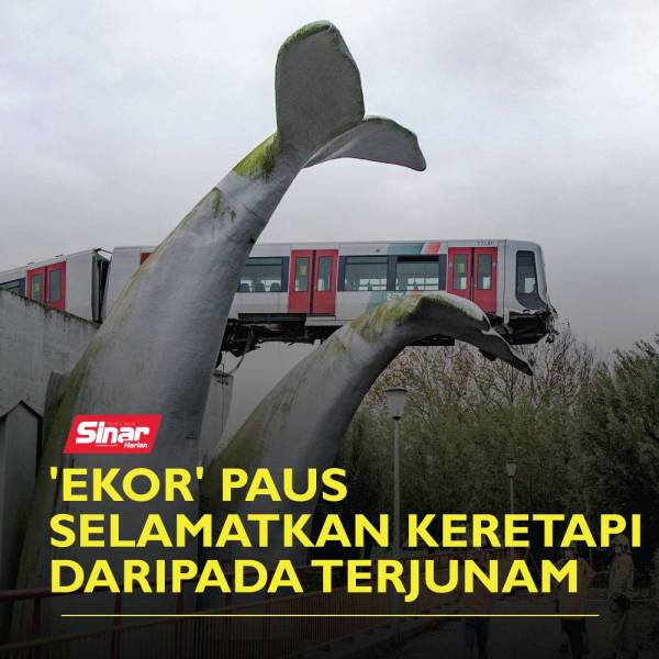 ekor-ikan-paus