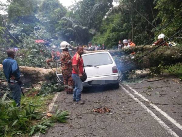 Usaha mengeluarkan mangsa dilakukan oleh pasukan Bomba dan Penyelamat Tampin. - Foto ihsan bomba