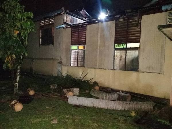 Pokok kelapa dipotong selepas tumbang menghempap rumah mangsa dalam kejadian di Kampung Nyatoh, Kuala Sawah Rantau. - Foto Bomba