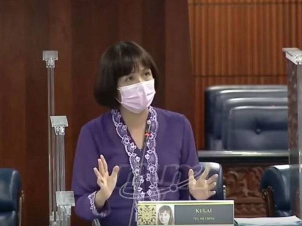 Teo Nie Ching pada sesi perbahasan Rang Undang-Undang Perbekalan (Belanjawan) 2021 di Dewan Rakyat hari ini.