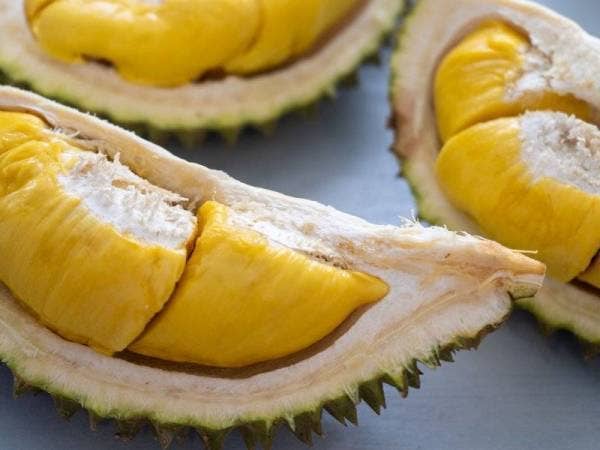 Persidangan DUN Pahang hari ini dimaklumkan bahawa tiada sebarang perjanjian rasmi antara Royal Pahang Durian Group (RPD) dengan pekebun durian musang king di Raub.