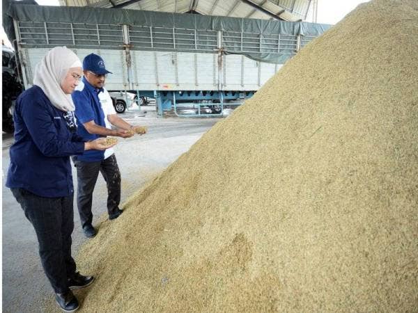 Azulita (kiri) dan Abd Rahman melihat padi di pusat pengumpulan padi. - FOTO ROSLI TALIB