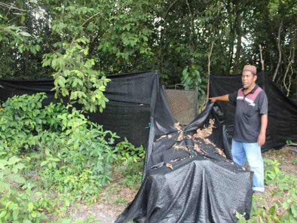 Perangkap yang dipasang Perhilitan.