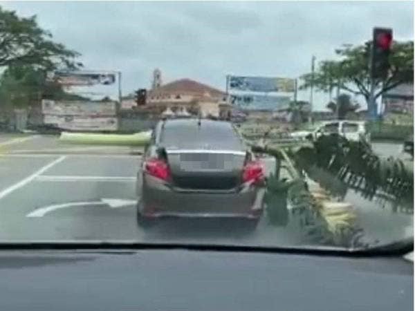 Tangkap layar video yang tular memaparkan seorang lelaki membawa sebatang pokok pisang menggunakan kereta di Jalan Persiaran Utama, Mutiara Rini, Iskandar Puteri semalam.
