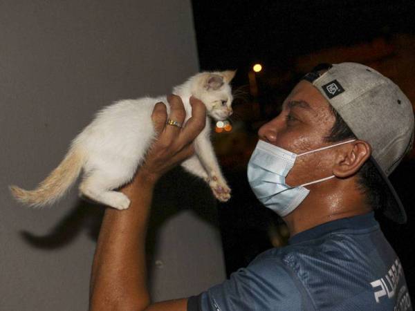 Muhamad Azril memegang seekor anak kucing jalanan yang ditemui di Pasar Rembau.