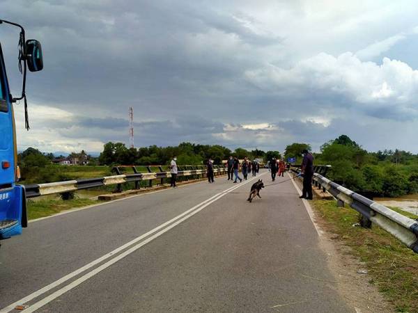 Polis turut menggunakan khidmat anjing pengesan bagi menjejaki mangsa hilang.