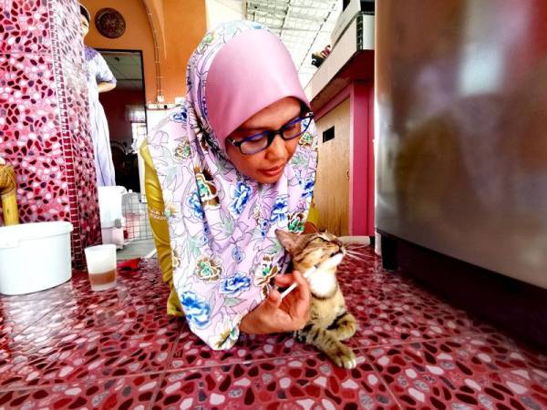 Maizlin memberi kucingnya minuman herba