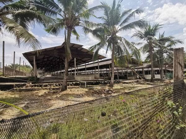 Bekas tapak ladang khinzir bersebelahan rumah Nor Salim Krishnan di Kampung Kebun Jimah, Port Dickson.