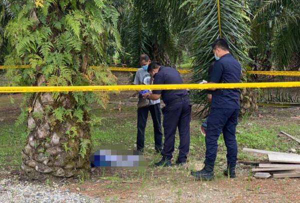 Mayat bayi ditemui dalam bungkusan beg plastik di kebun sawit belakang sebuah rumah di Kampung Tali Air 11 Pasir Panjang, Sekinchan semalam.