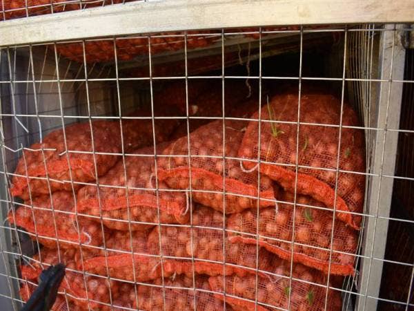 Bawang yang dibawa masuk dari Myanmar dirampas kerana tidak mempunyai sijil perakuan 3P.