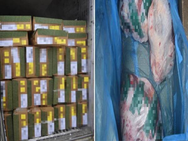 13,651kg daging kambing sejuk beku dirampas Maqis Pulau Pinang pada Ahad