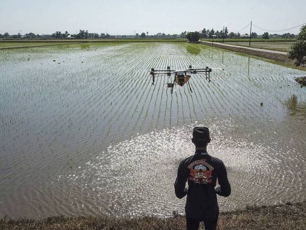 MAFI melaksanakan beberapa sesi libat urus bersama pihak Civil Aviation Authority of Malaysia (CAAM) berhubung penggunaan dron dalam sektor pertanian. (Gambar hiasan)