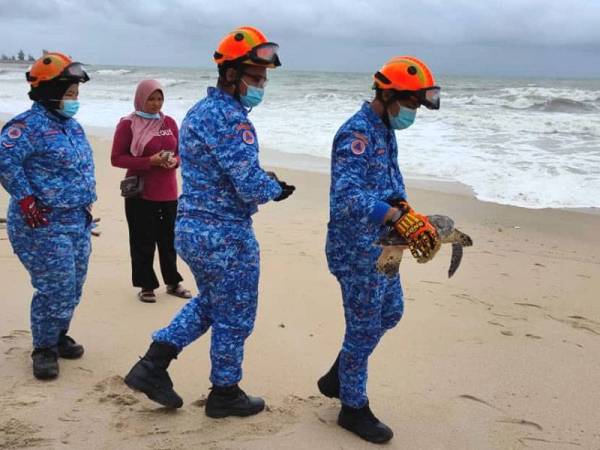 Pantai teluk ketapang