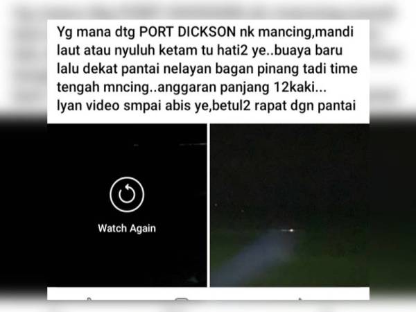 Video tular kelibat buaya di pantai nelayan Bagan Pinang.