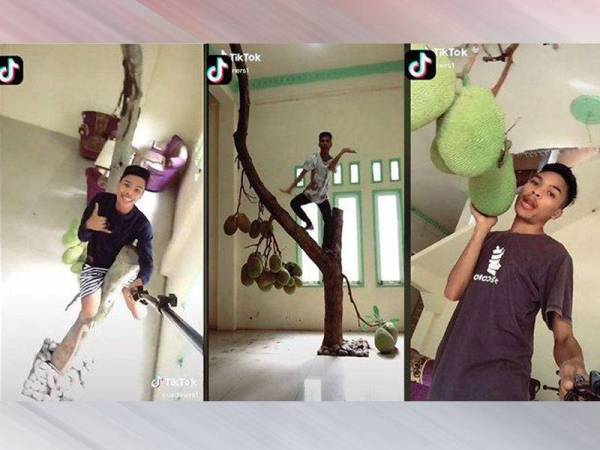 Paparan TikTok @ardiners1 tular dan ditonton lebih 200,000 tontonan dari netizen sehingga Rabu. - Foto Tribun News