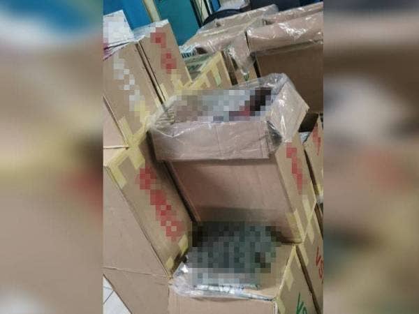 Polis berjaya merampas pelbagai rokok tanpa cukai bernilai RM203,700 dalam serbuan di Kuala Selangor pada Khamis.