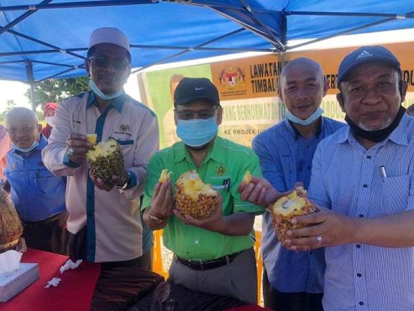 Che Abdullah (tengah) bersama Wan Afthanorhan (kiri); Ahli Dewan Undangan Negeri (ADUN) Perupok, Mohd Huzaimy Che Husin (dua dari kiri); Mohd Zamani (dua dari kanan) dan Zulkifli (kanan) mencuba nanas cobek yang dihidangkan kepada mereka.