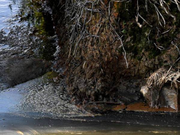 Kelihatan Sungai Kereh tercemar akibat pencemaran najis babi yang mengalir dari ladang di Kampung Selamat yang jaraknya kira-kira lima kilometer dari Kampung Air Melintas Kecil.