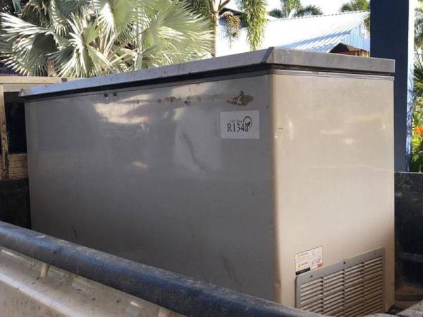 Peti ais yang menjadi tempat dua harimau disimpan hingga sejuk beku.