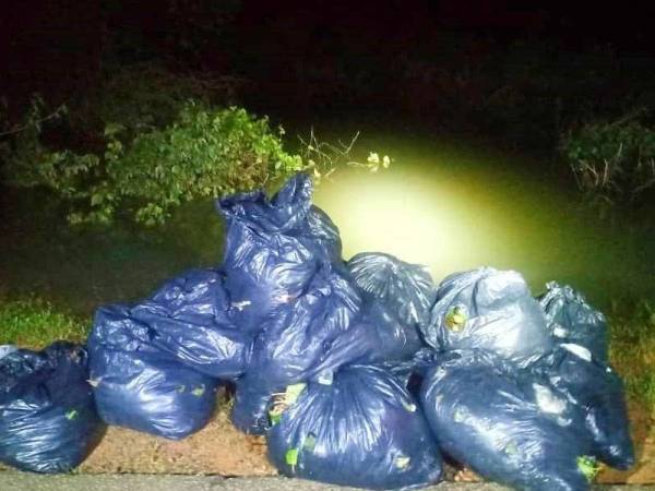 PGA Batalion 7 Kuantan merampas beberapa bungkusan daun ketum seberat 180kg di Jalan Kasban, berhampiran Jeram Perdah, Rantau Panjang.