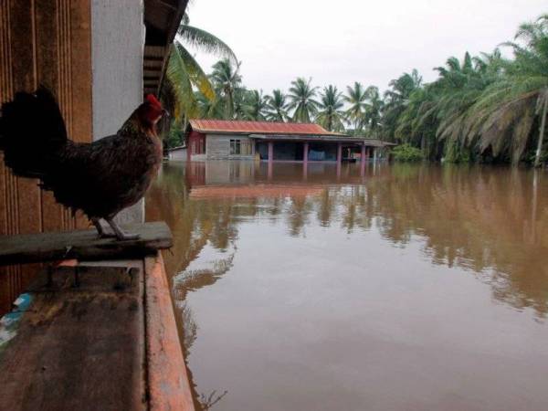  Keadaan banjir termenung dan lambat surut di Pahang ketika ini disebabkan fenomena air pasang tinggi.