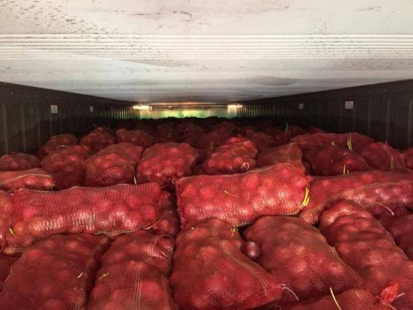 Maqis Selangor mematahkan cubaan menyeludup masuk bawang dari China dan Pakistan di Pelabuhan Klang Barat, Pelabuhan Klang, pada Selasa.