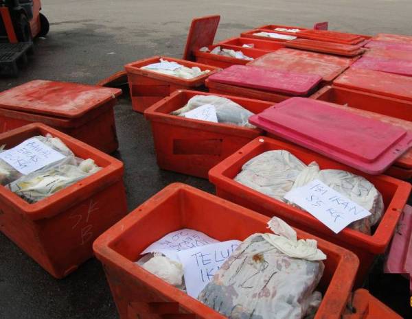 Antara bekas ikan yang dirampas dalam sebuah lori di Kompleks Sultan Abu Bakar (KSAB), Tanjung Kupang di sini pada Isnin.