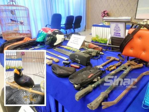 Polis merampas pelbagai barangan yang dipercayai digunakan dalam kegiatan jenayah pada serbuan yang dilakukan di sekitar Taiping pada Jumaat dan Ahad lalu. (Burung Tiong Emas antara barang yang dirampas daripada suspek dalam serbuan)