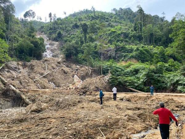 Pegawai JAS dan Pejabat Exco melakukan tinjauan di lokasi terjejas di Hutan Simpan Segari Melintang. - Foto ihsan pembaca